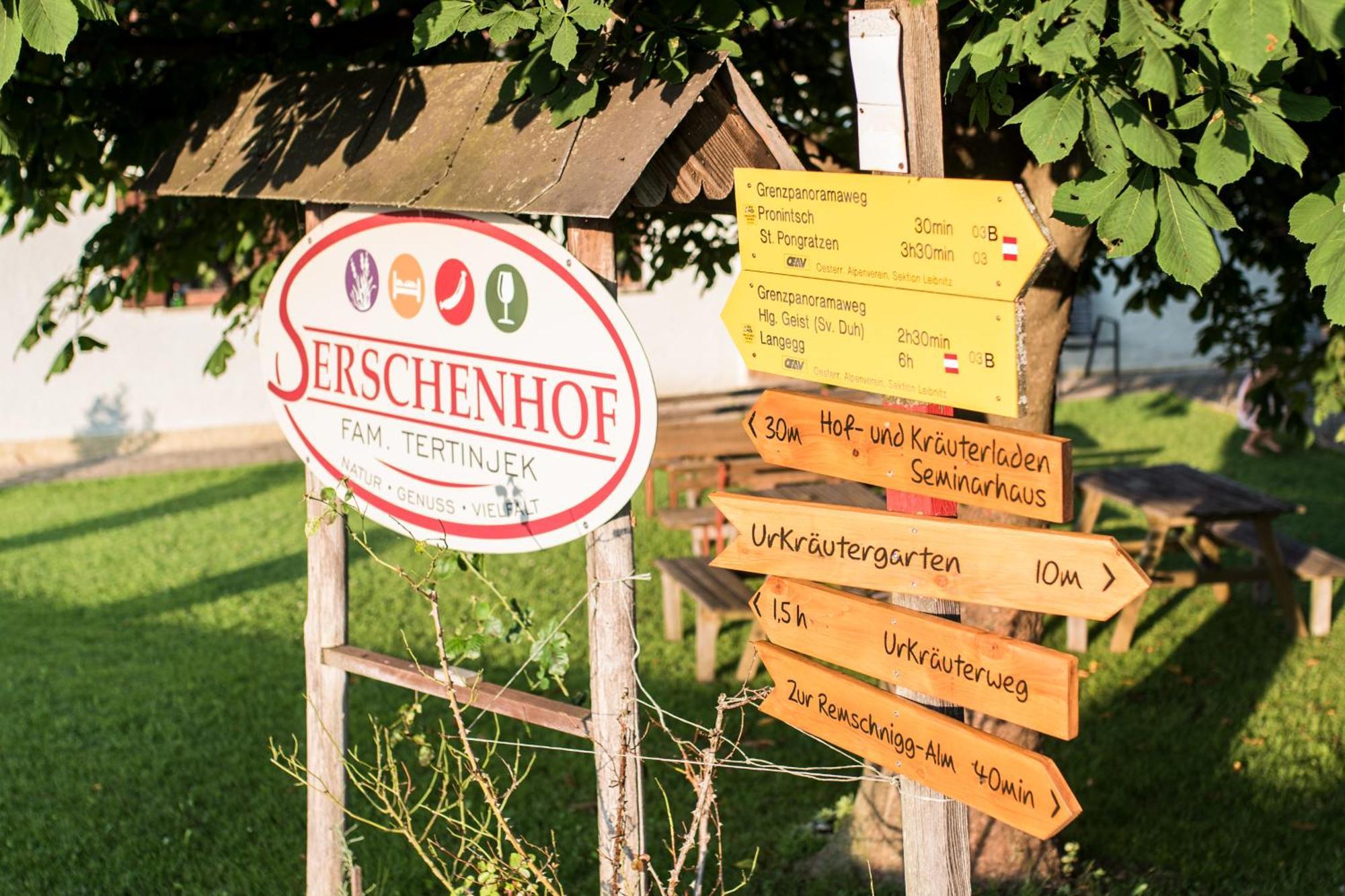 Serschenhof- Auszeit Ueber Dem Stall Leutschach Esterno foto
